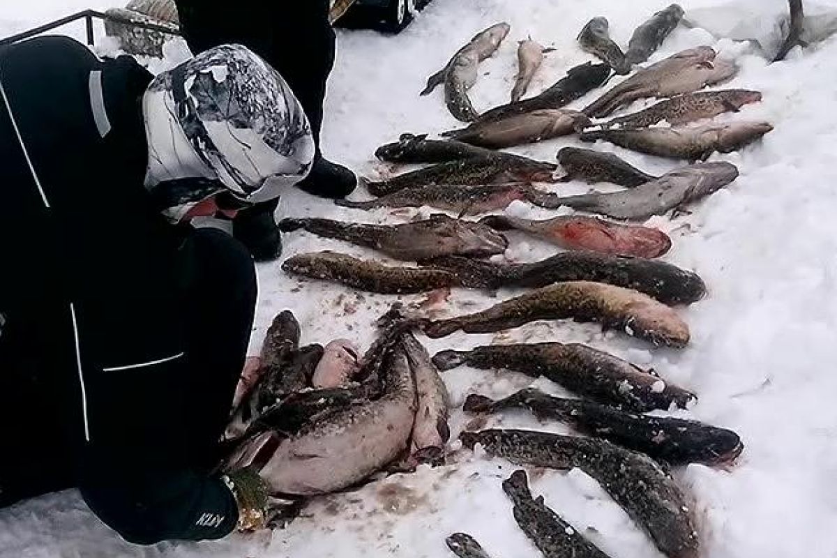 Озеро Майниц - жемчужина Чукотки (март-апрель, подлёдная рыбалка)