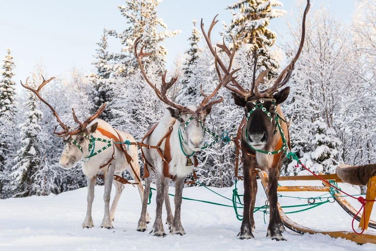 Аврора. Море. Ты. (пешая прогулка)