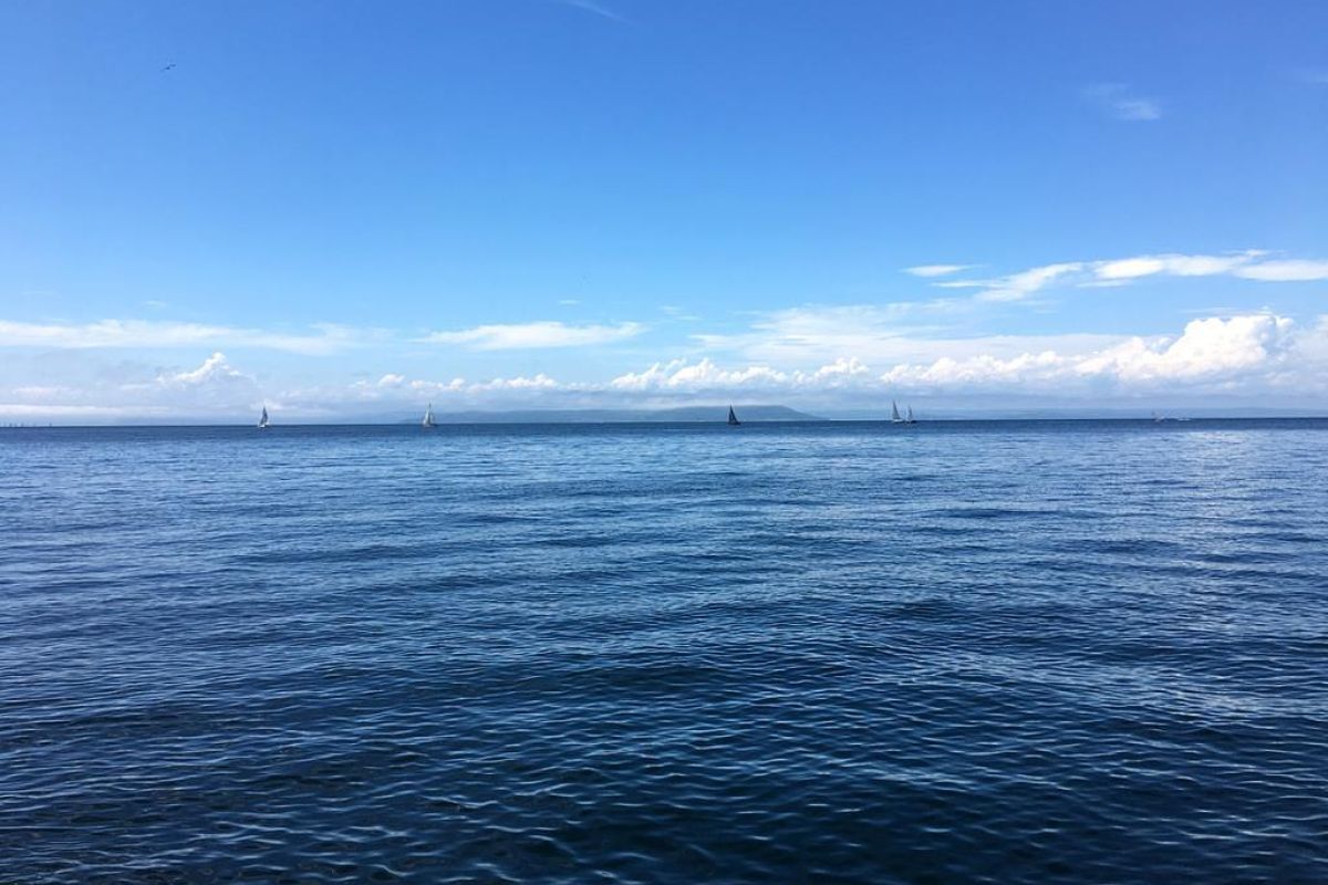 Тур "Морской заповедник"