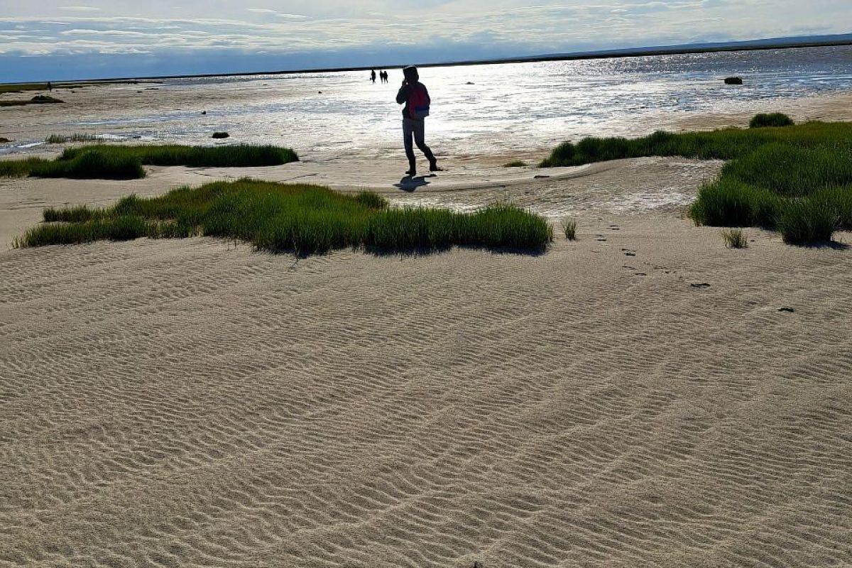 Южный берег Карского моря