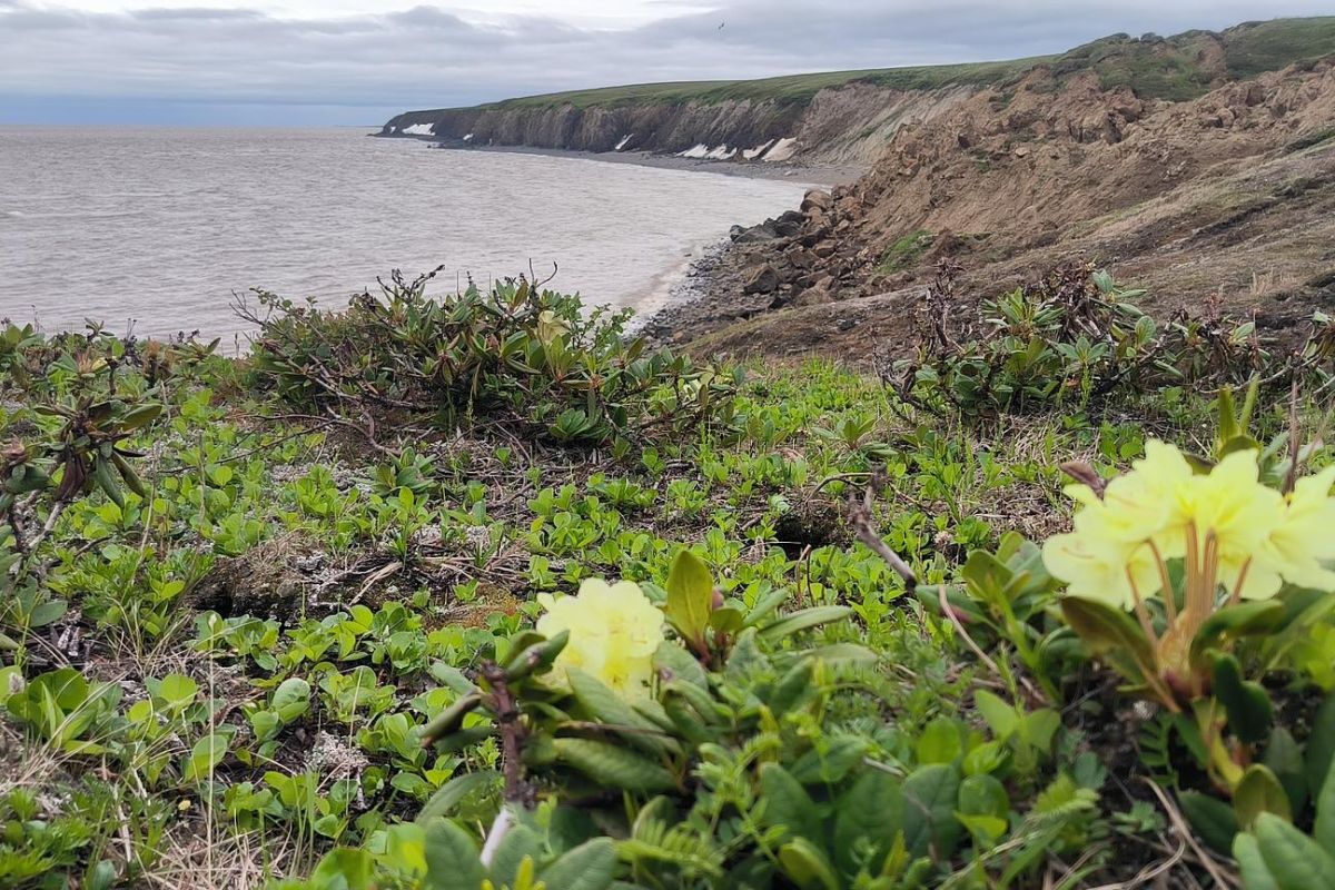 Поход на мыс Дионисия