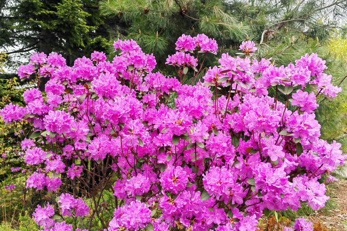 Дыхание весны у моря (1 - 6 мая 2026)