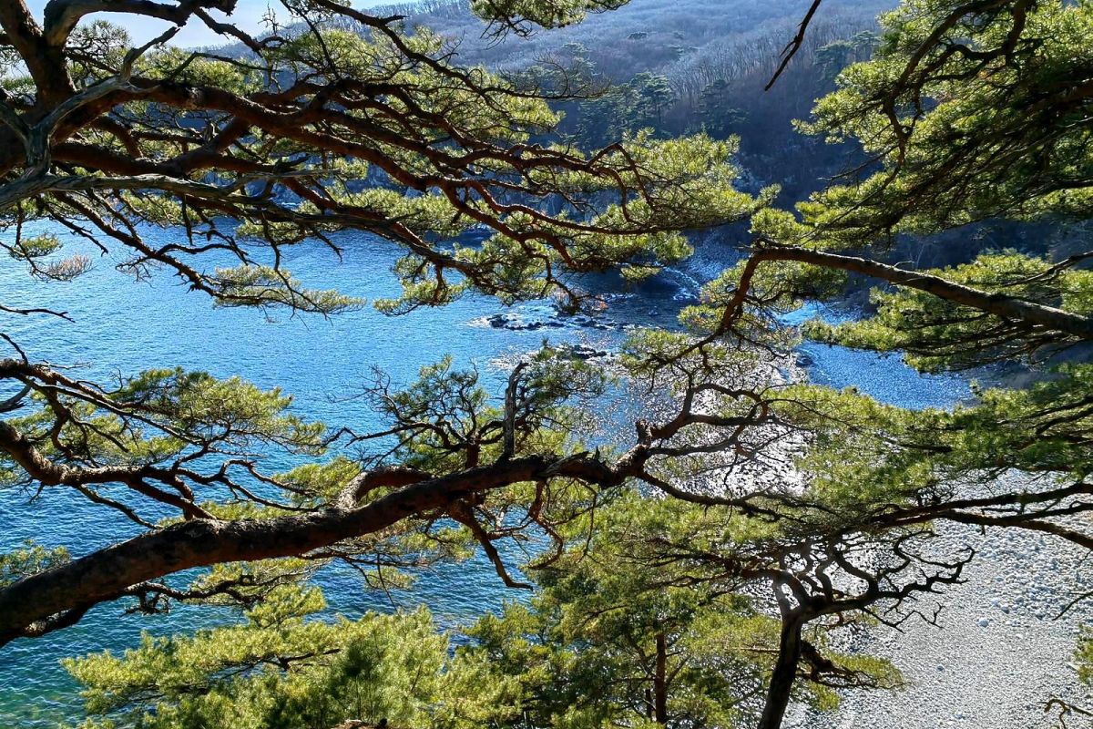 Тур "Четыре истории"