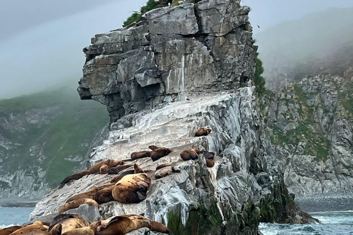 В гостях у Кутха (экскурсионный тур без палаток)