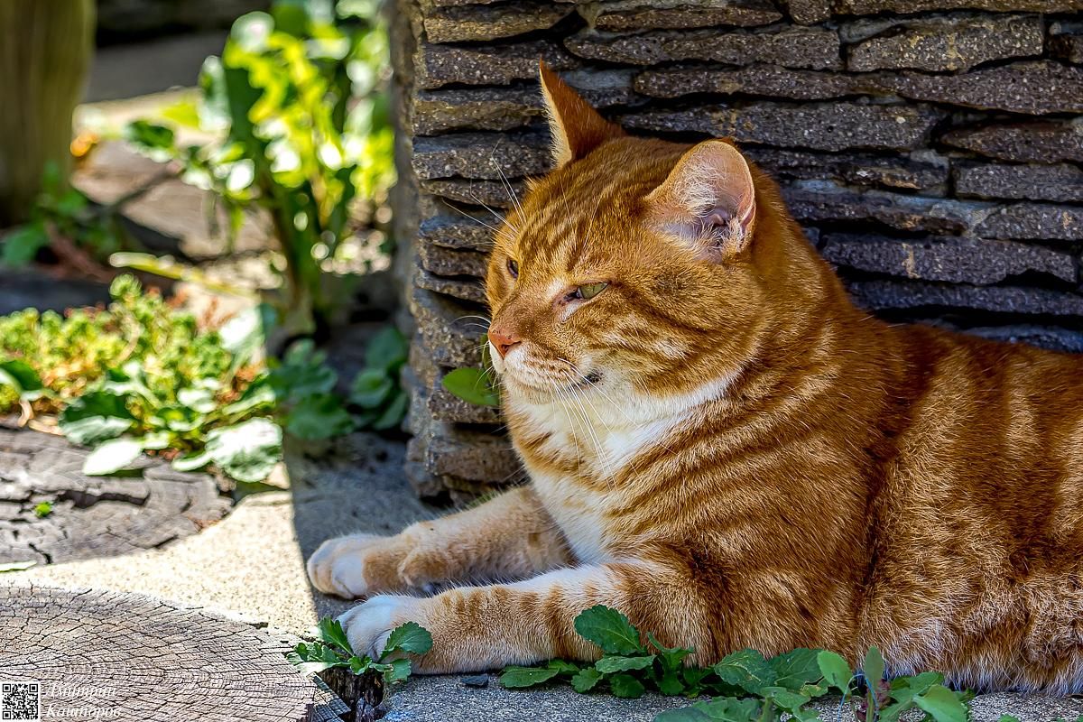 Итуруп и Кунашир. Путешествие на другую планету