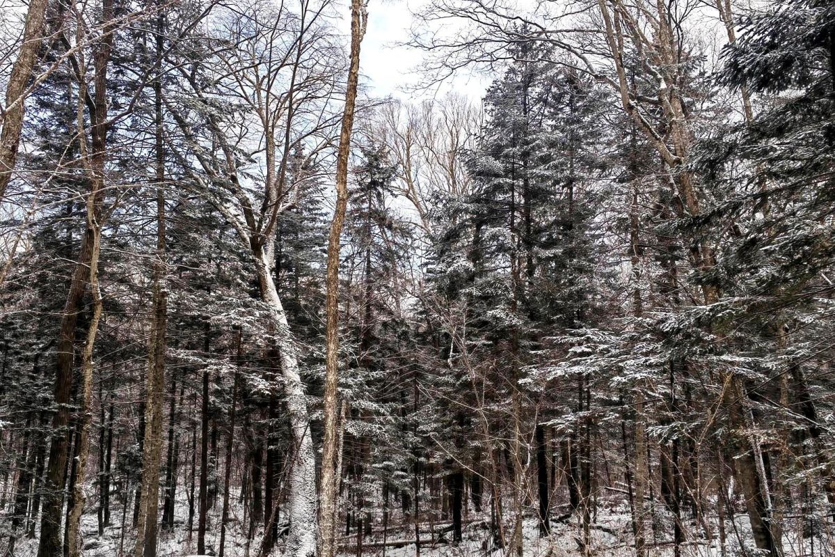 Водопад Горбатый