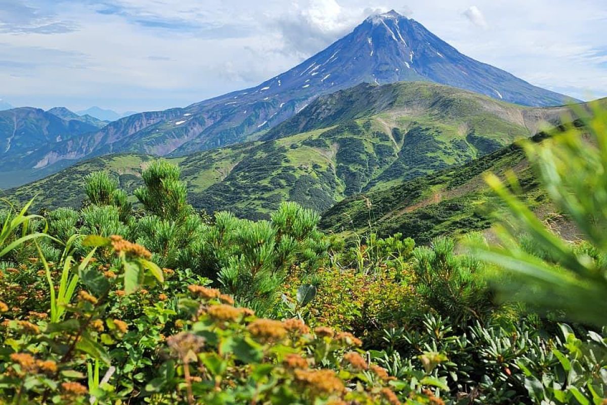 Камчатка: летний экспресс