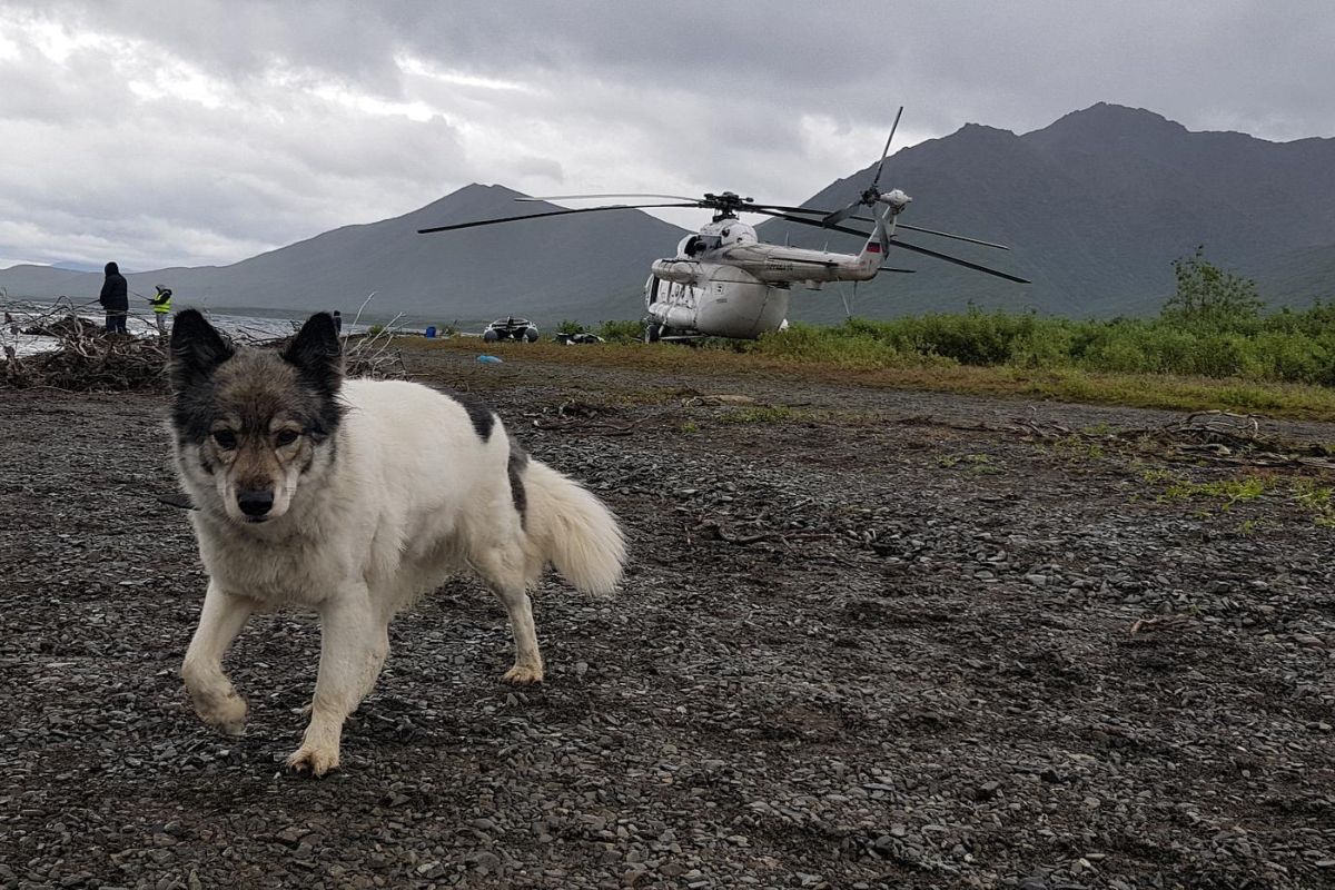 Горы, тундра, море – «три Чукотки» в одном маршруте (заброска вертолётом МИ-8)