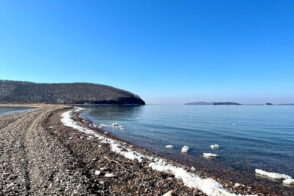 Остров Шкота