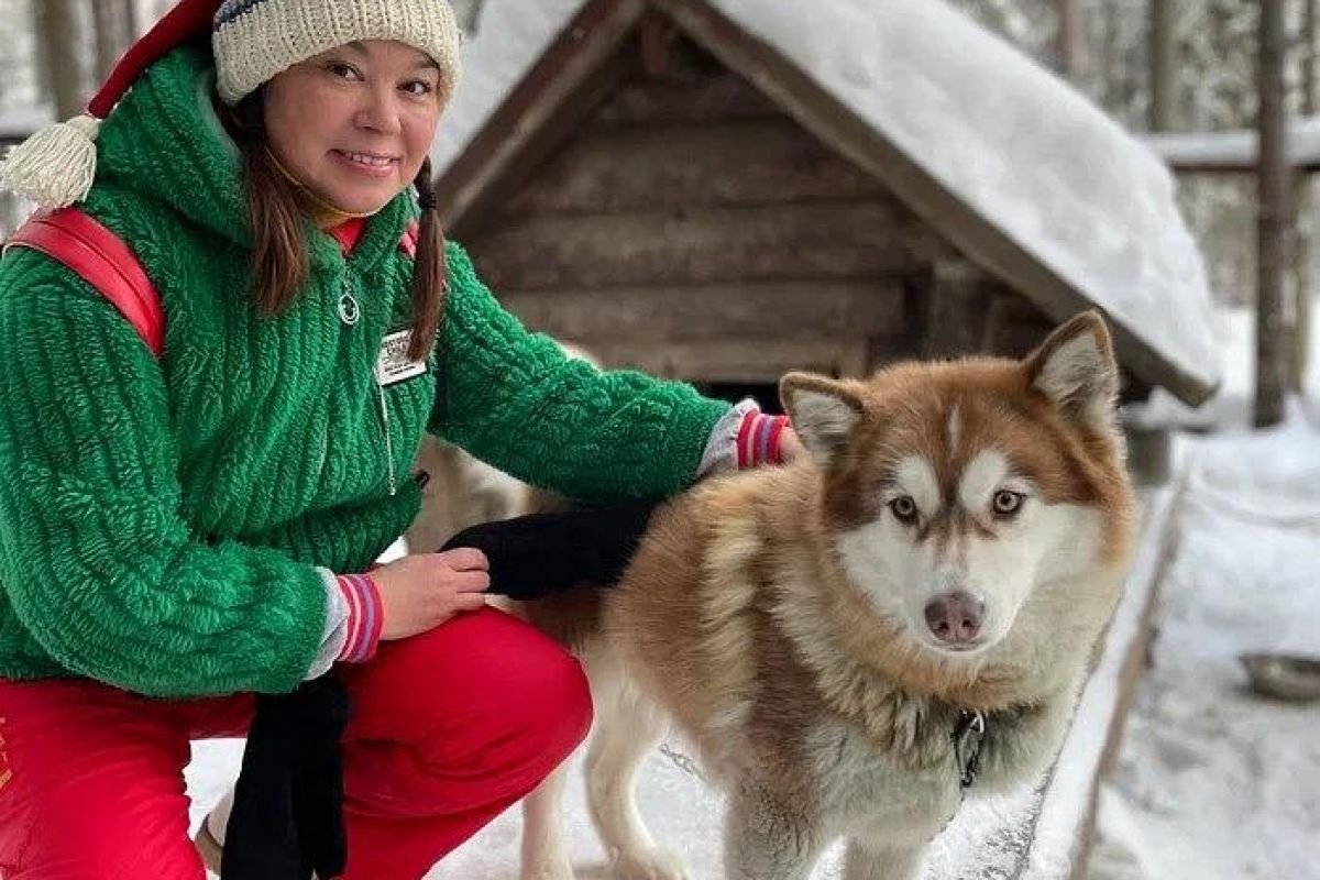 Хаски и олени: экскурсия в карельский питомник