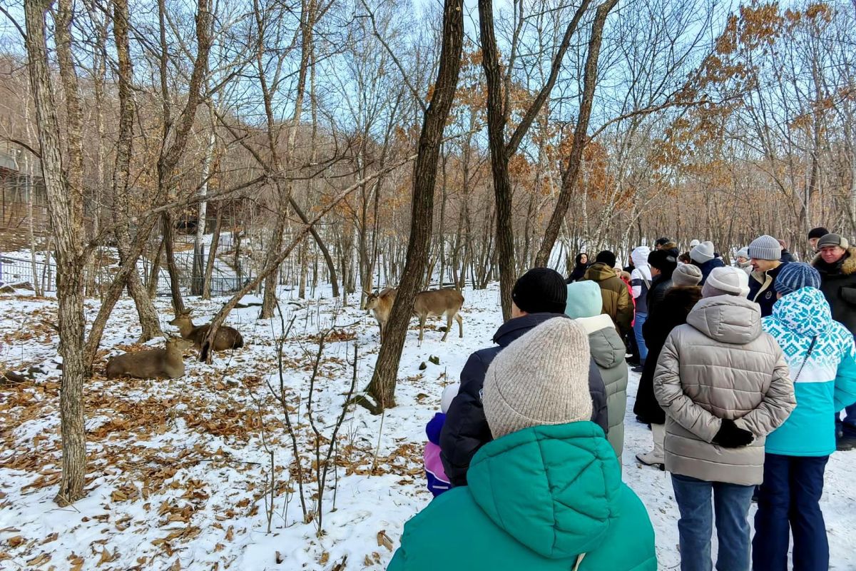 Экскурсия в Сафари-парк