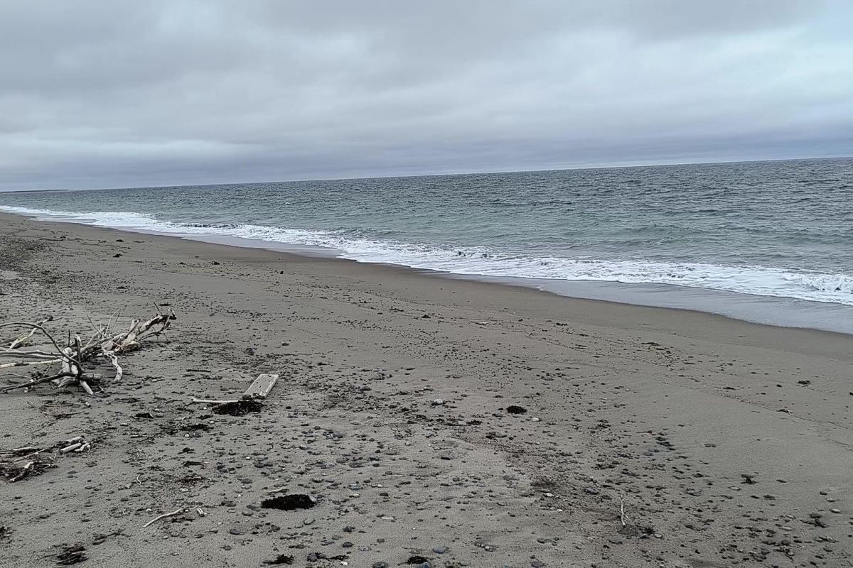 Горы, тундра, море – «три Чукотки» в одном маршруте (заброска вертолётом МИ-8)