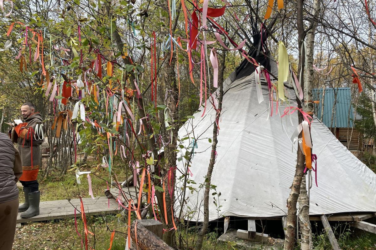 По волнам Арктики (морская прогулка)