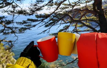 Тур "Четыре истории"