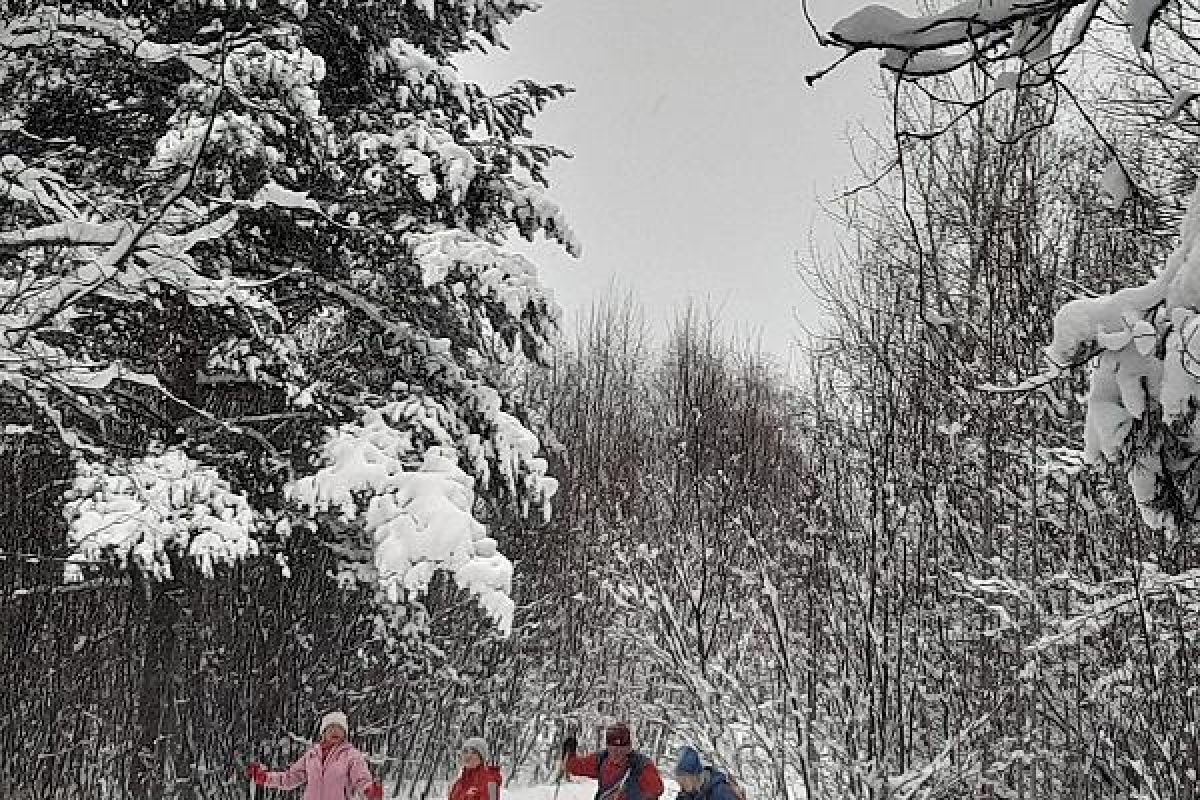 Лыжный тур "4 дня в Спасской Губе"