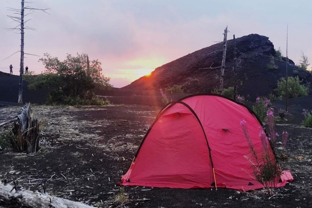 Толбачик. По следам извержения