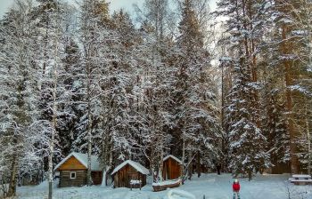 По заснеженному Лекшмозерью
