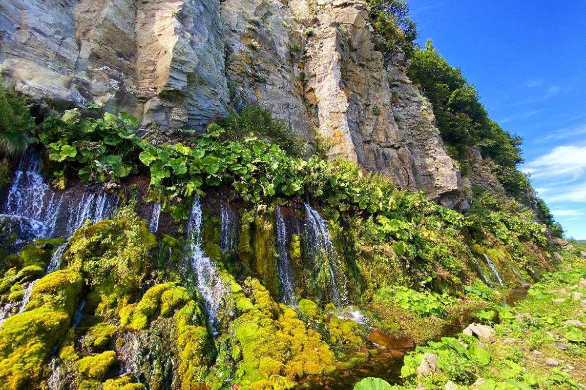 Экспедиция на Южные Курильские острова