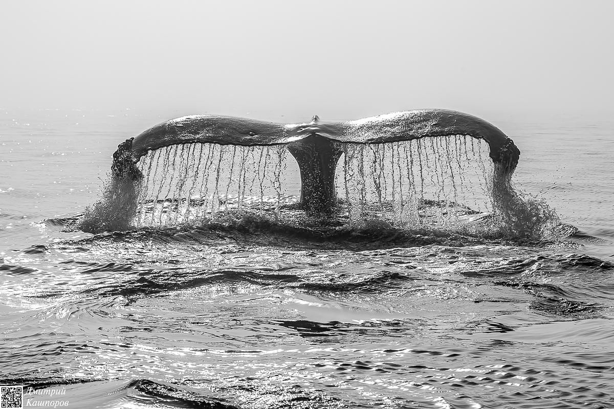 Итуруп и Кунашир. Путешествие на другую планету