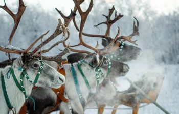 Саамские мотивы (зима)