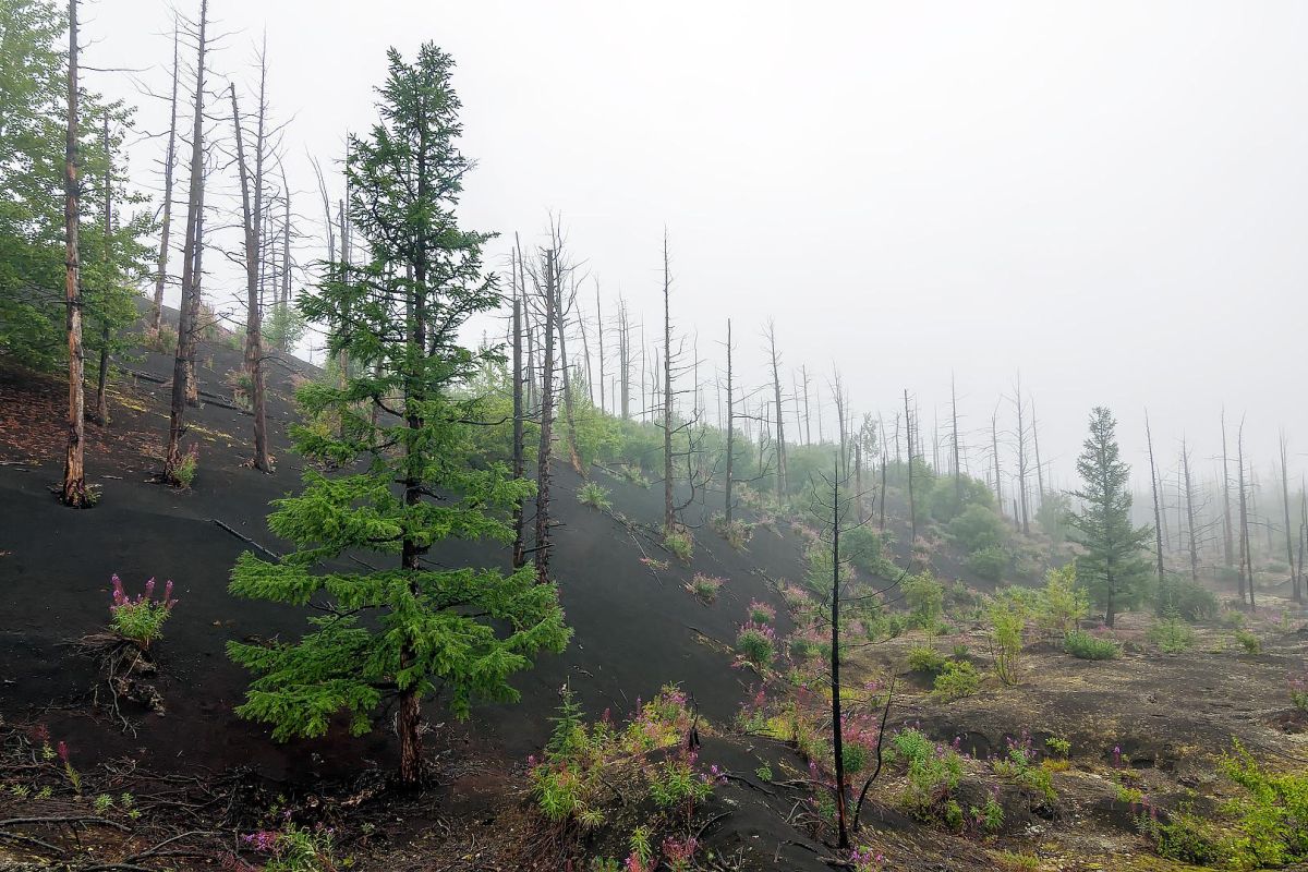 Огненные Вершины – активный тур, SPA-отель Спутник, 2 ночи в палатках