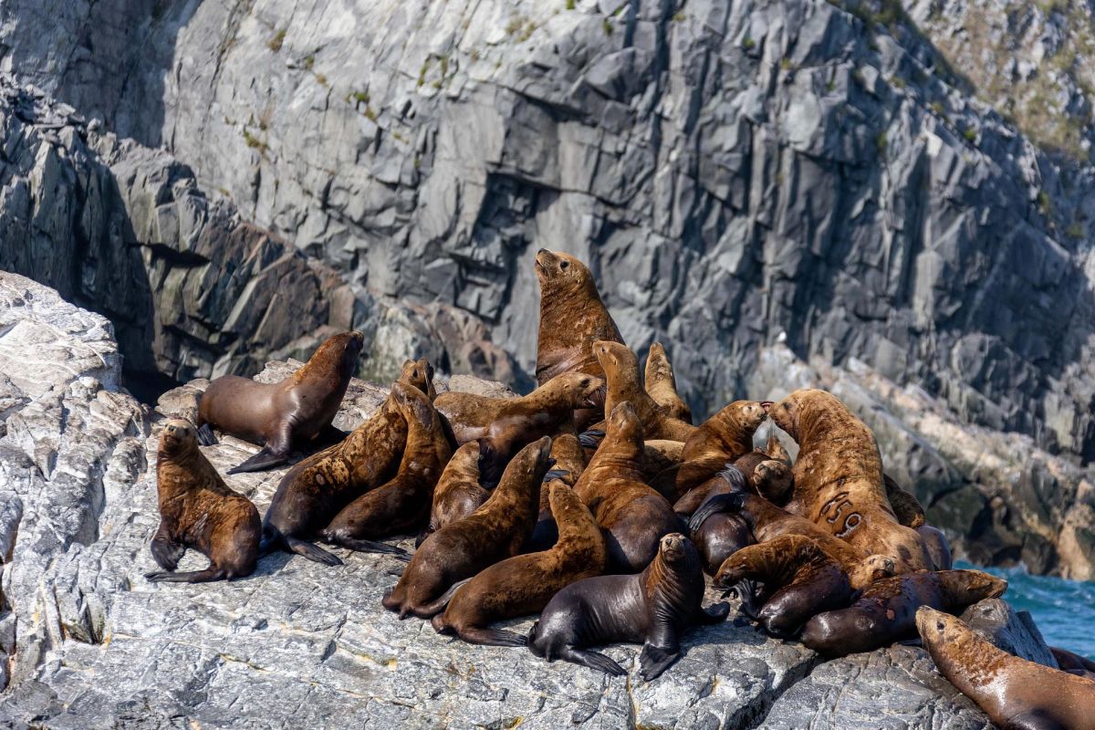 Камчатка. Сокровище ЮНЕСКО