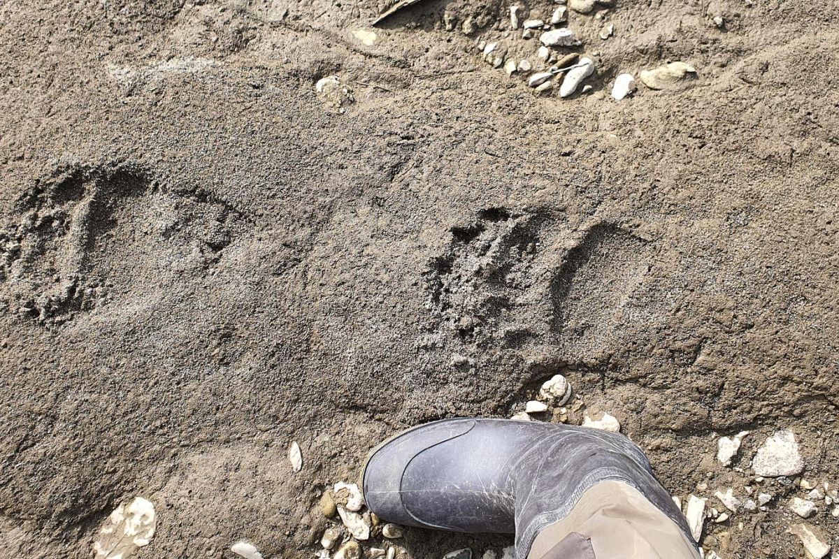 Озеро Красное – трофейная рыбалка в центральной Чукотке