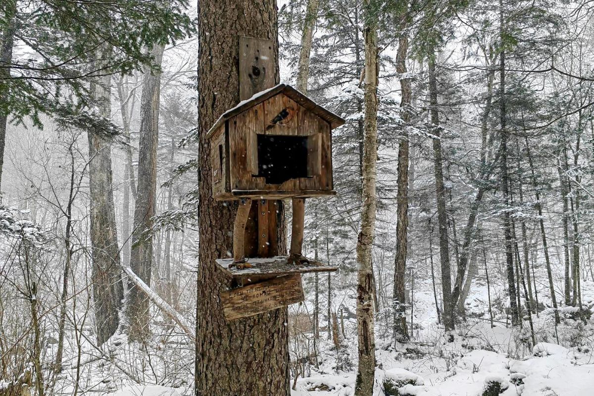 Водопад Горбатый