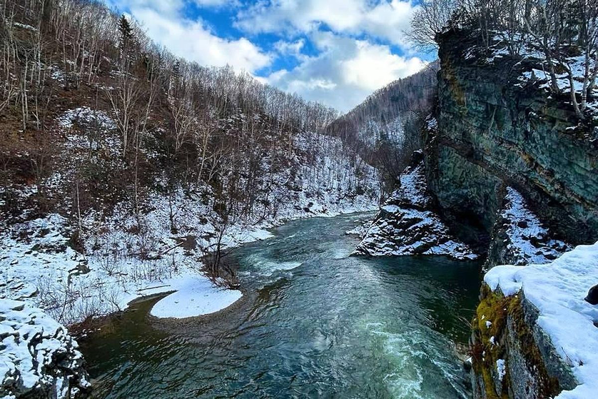Быковские пороги и мыс Острый