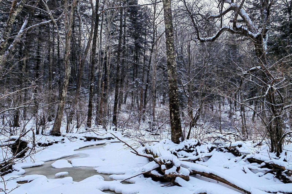Водопад Горбатый