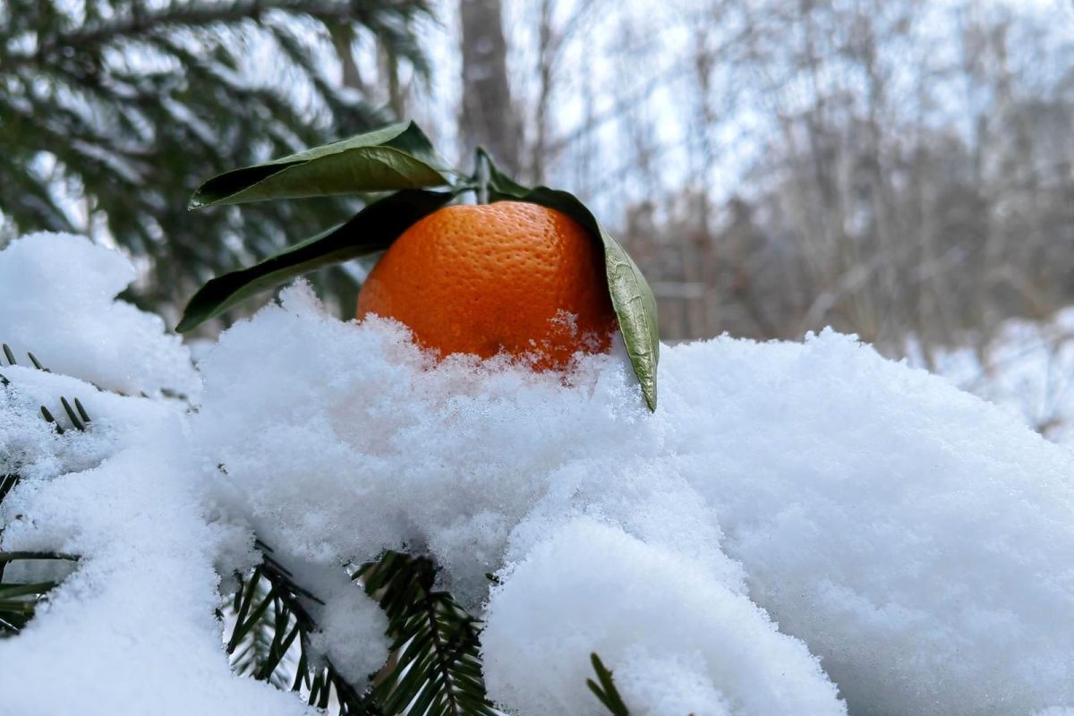 Водопад Горбатый