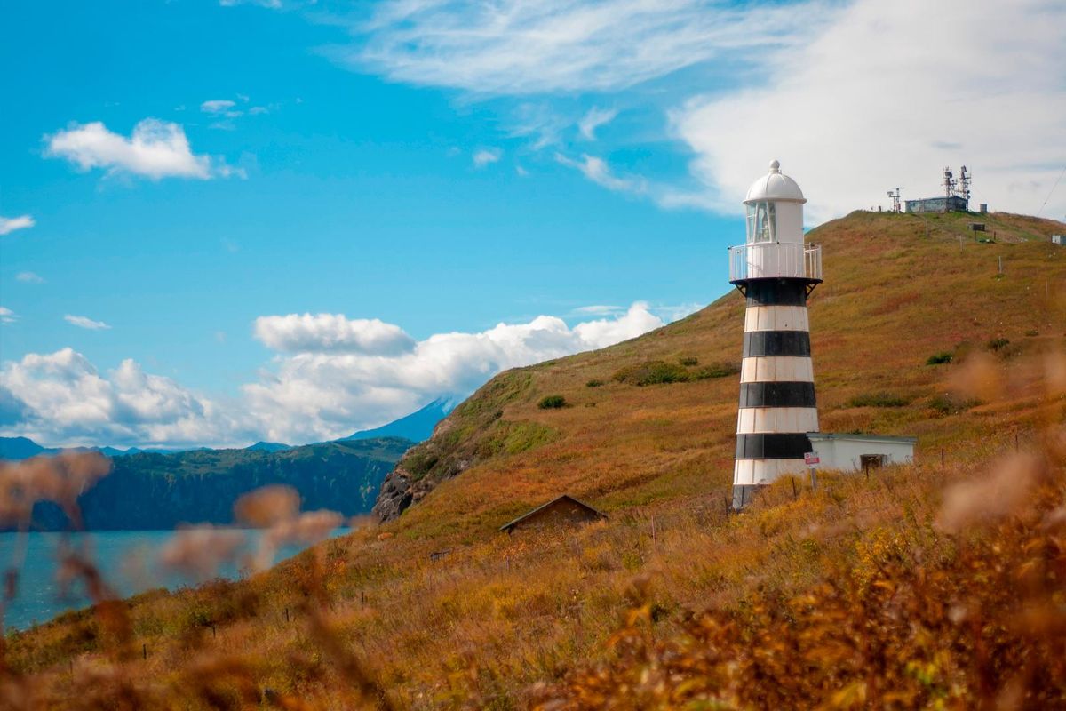 Камчатка за неделю