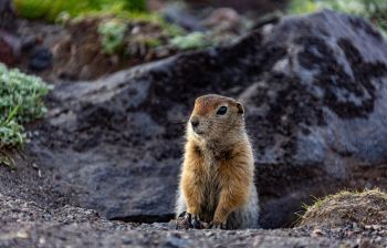 Вдыхай лето. Летний тур на Камчатку с PEAK 3'456