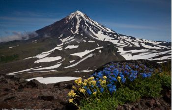 Камчатка. Июньская мозаика 2026