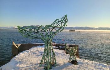 Аврора. Море. Ты. (пешая прогулка)