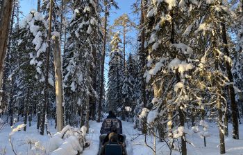 СНЕГОХОДНЫЙ ТУР "ЗАПОВЕДНОЕ КЕНОЗЕРЬЕ"
