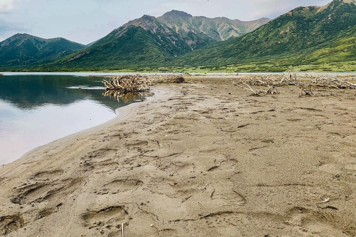 Озеро Майниц - жемчужина Чукотки (август-сентябрь, рыбалка на спиннинг)