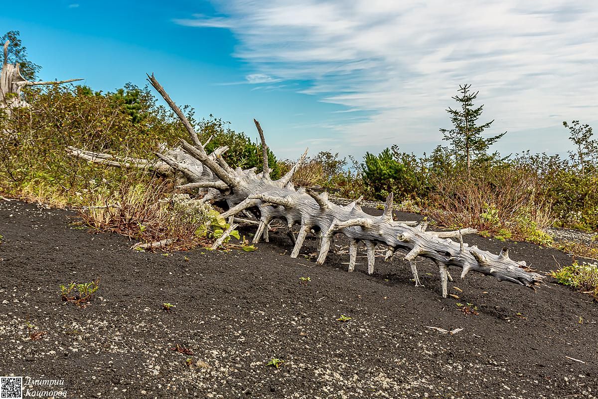 Четыре вулкана Курильских островов. Путешествие на другую планету