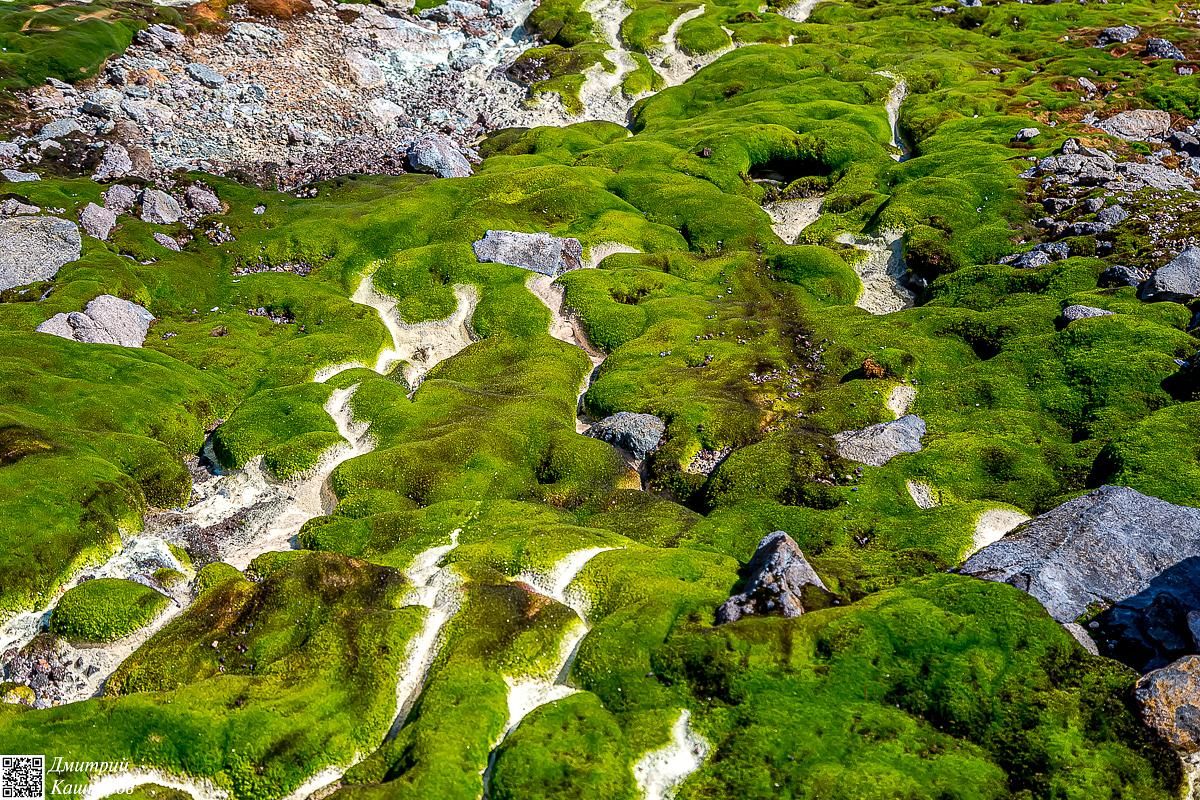 Четыре вулкана Курильских островов. Путешествие на другую планету