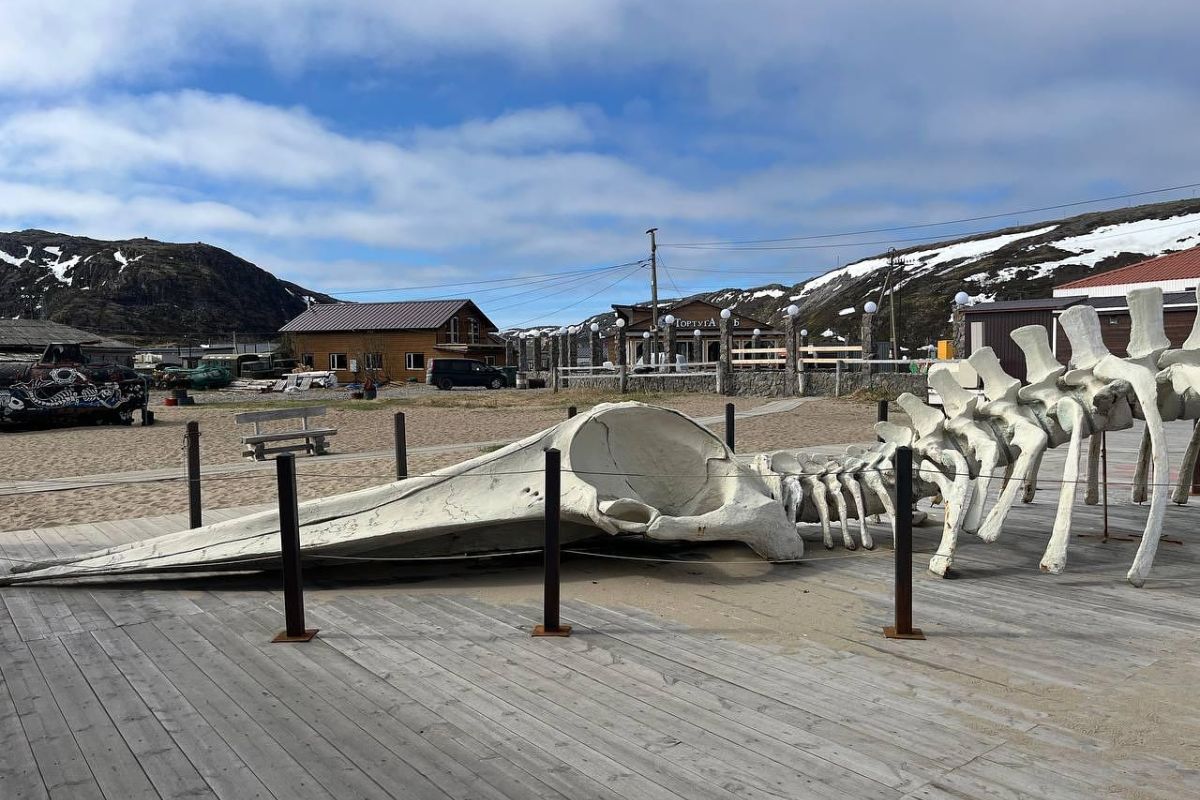 По волнам Арктики (морская прогулка)