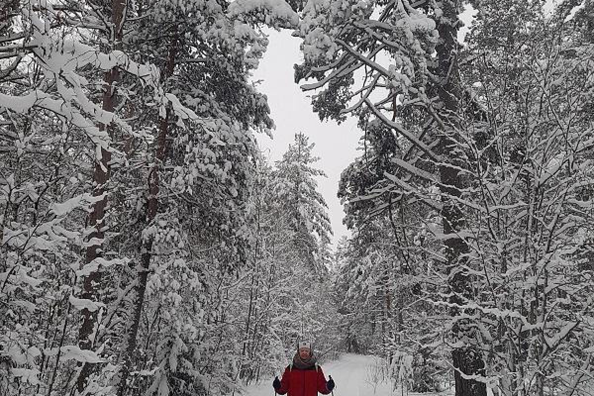 Лыжный тур "3 дня в Тало (Сойважпорог)"