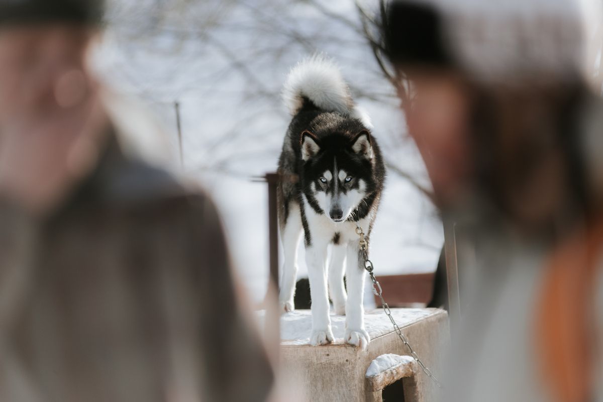 Камчатка. Весенний микс 2026