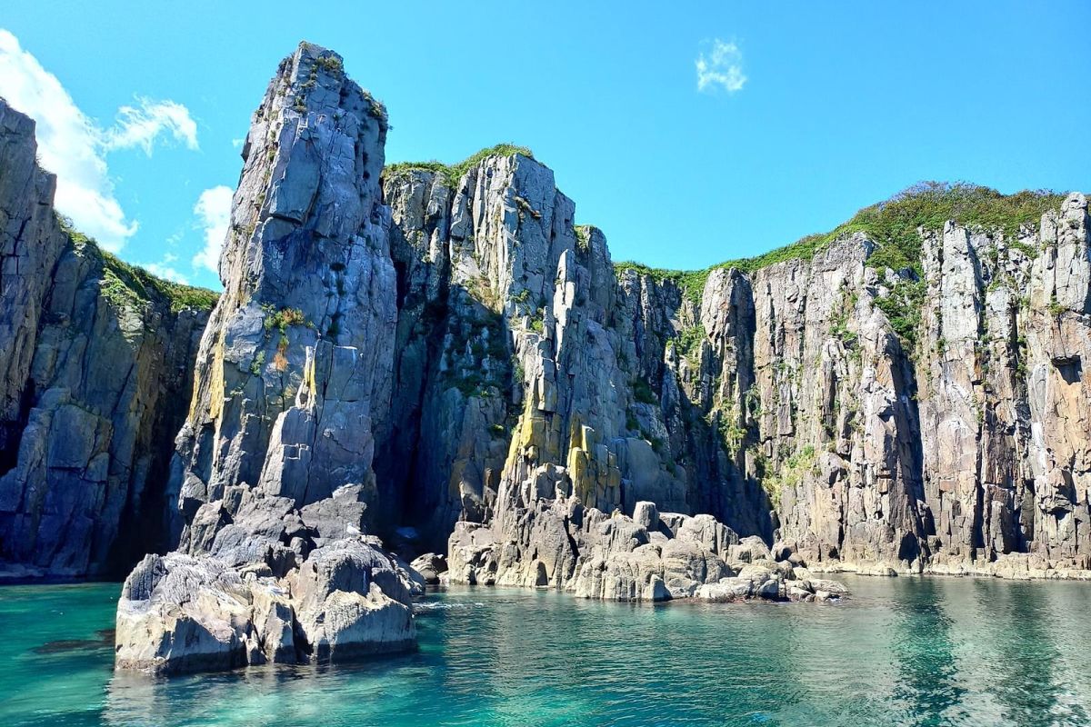 Тур "Открой Владивосток"