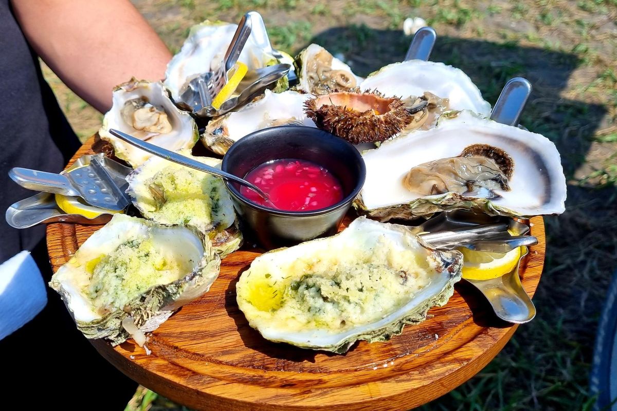 2 острова: Сахалин - Итуруп