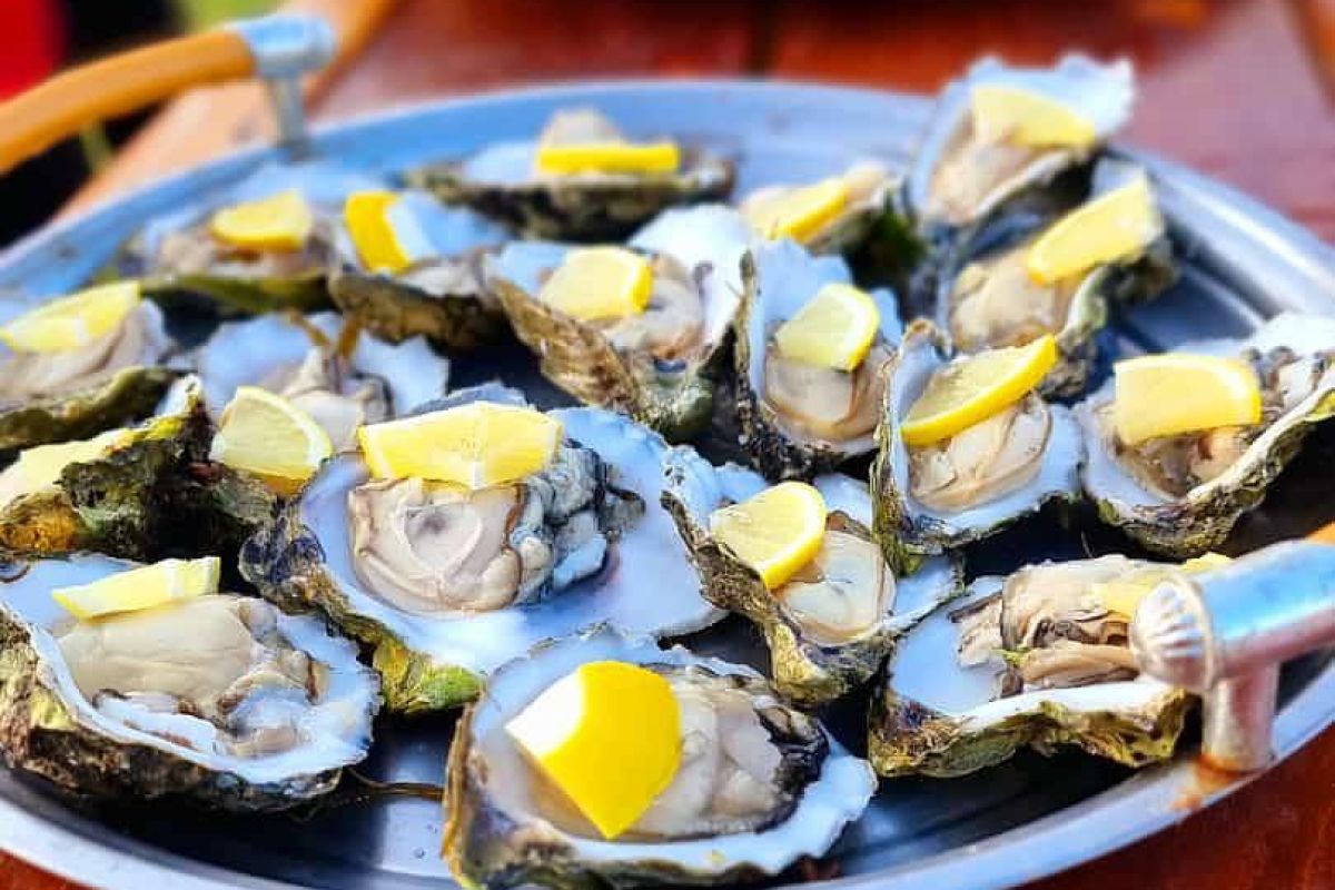 Озеро Буссе. Ловля устриц