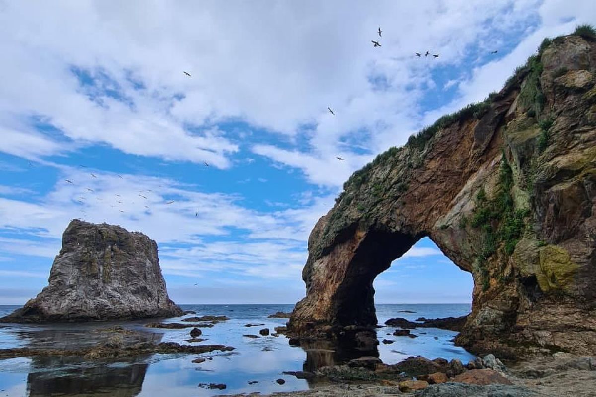 Яркое лето на Сахалине. 7 дней, 6 ночей