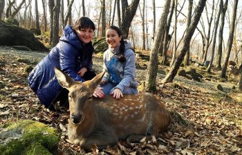 Сафари-парк + Стекляшка