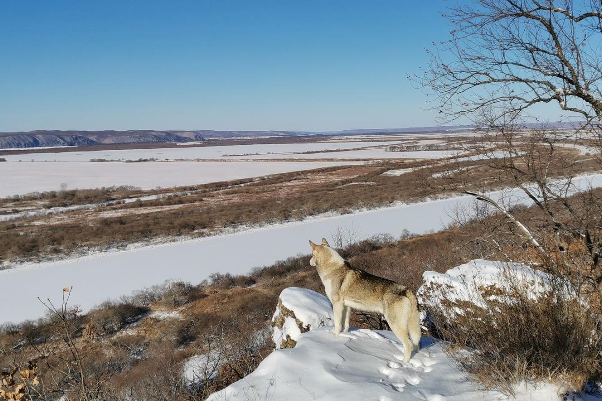 Поход выходного дня к памятнику природы "Михайловские столбы"