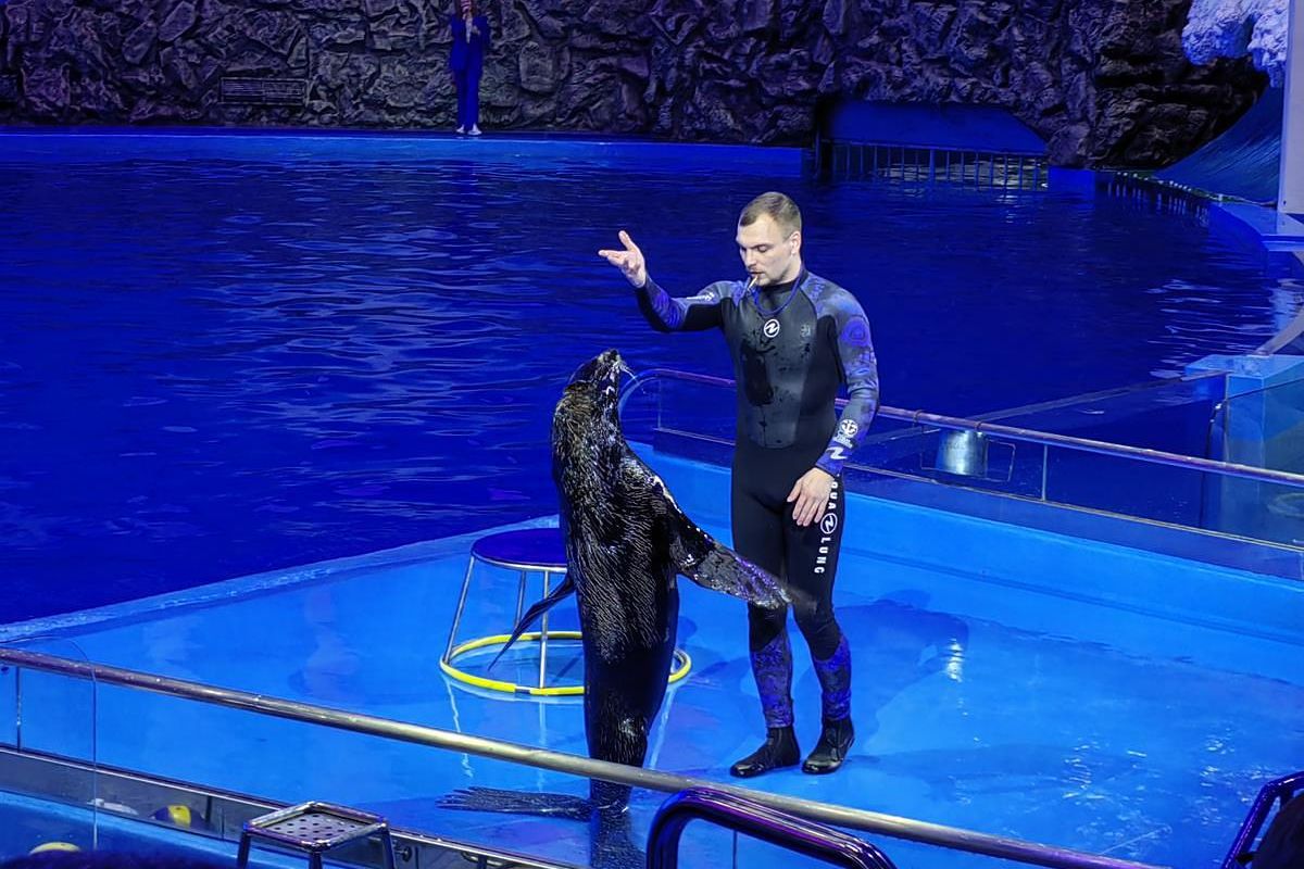 Дыхание весны у моря (1 - 6 мая 2026)